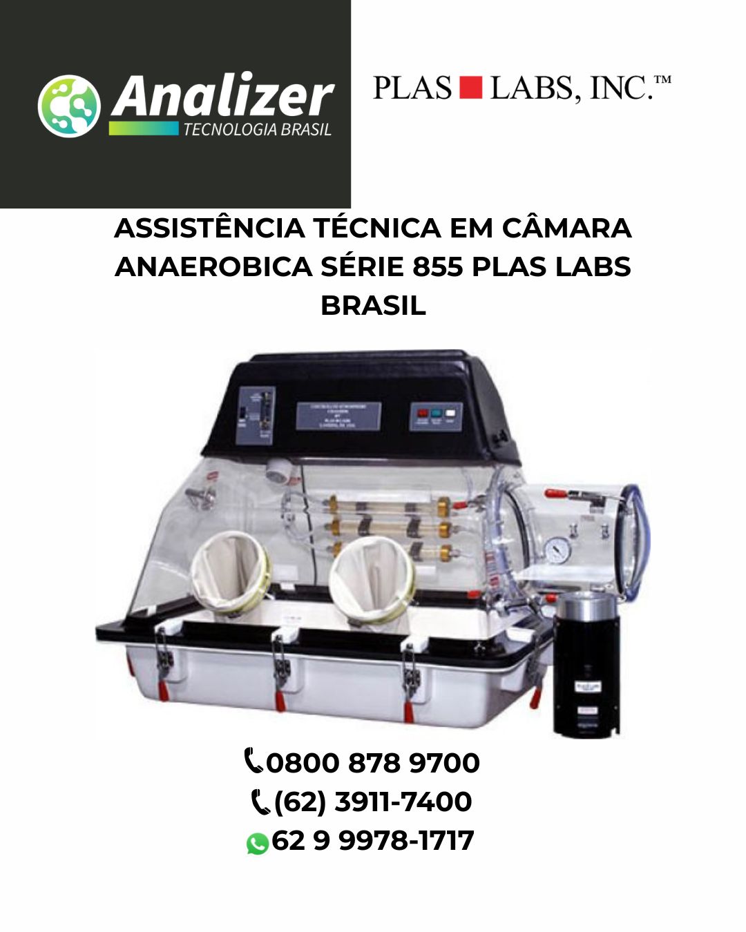 ASSISTÊNCIA TÉCNICA EM CÂMARA ANAEROBICA SÉRIE 855 PLAS LABS BRASIL