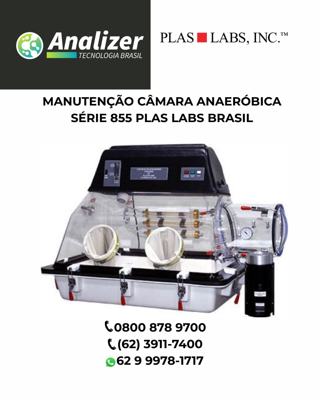 MANUTENÇÃO CÂMARA ANAERÓBICA SÉRIE 855 PLAS LABS BRASIL