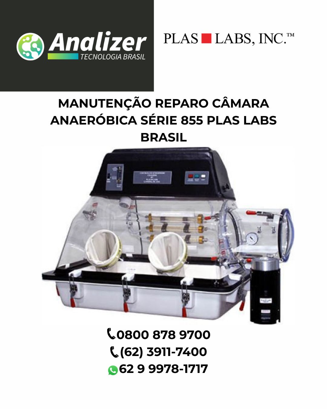 MANUTENÇÃO REPARO CÂMARA ANAERÓBICA SÉRIE 855 PLAS LABS BRASIL